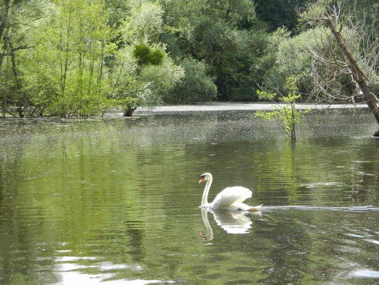 Parc Naturel du Patis