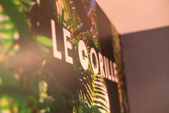 Le Gorille