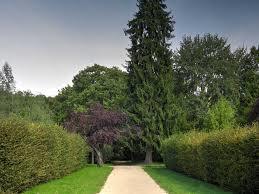 parc Debreuil