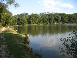 l'étang de la Loy