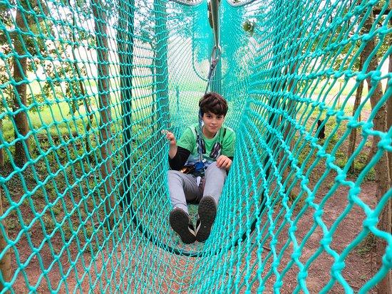 Jumping Forest