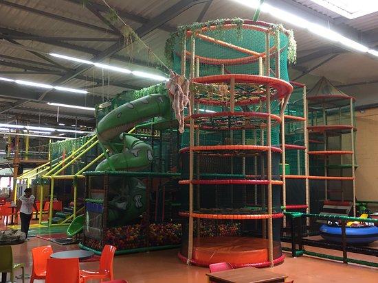 Jungle Paradis
