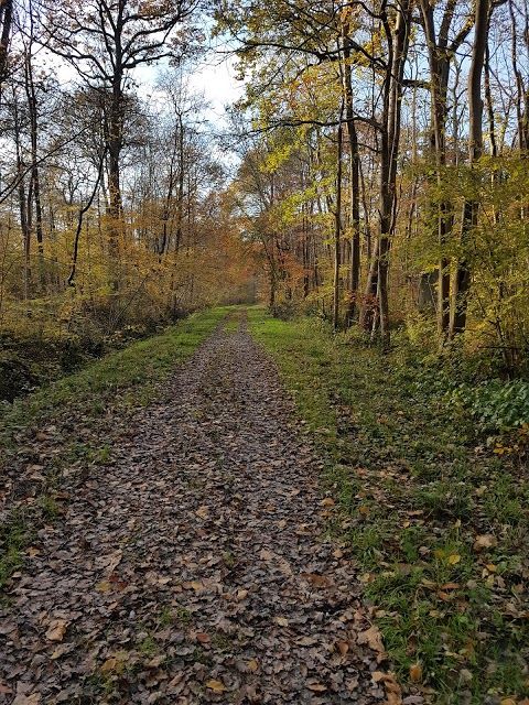 Forêt Régionale de Ferrières
